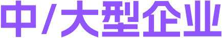 中/大型企业