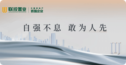 联投置业
